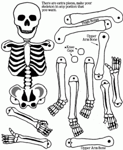Marioneta de un esqueleto. Manualidades a Raudales.