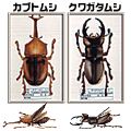 Papercraft imprimible y armable de Escarabajos / Beetles. Manualidades a Raudales.