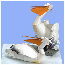 Papercraft imprimible y armable del Pelícano Dálmata / Dalmatian Pelican. Manualidades a Raudales.