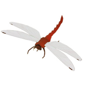 Papercraft imprimible y armable de una Libélula Roja / Red Dragonfly. Manualidades a Raudales.