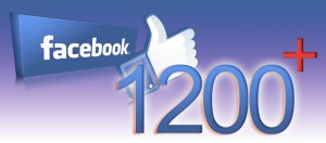 Manualidades a Raudales 1200 Me gusta en Facebook.