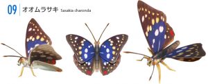 Papercraft recortable de la Mariposa Sasakia Charonda. Manualidades a Raudales.