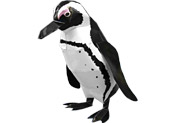 Papercraft recortable de un Pingüino del Cabo. Manualidades a Raudales.