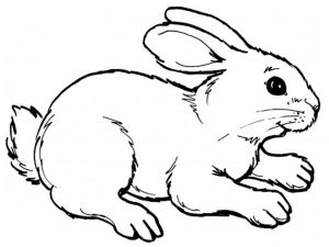 Fichas para colorear dibujos de conejos. Manualidades a Raudales.