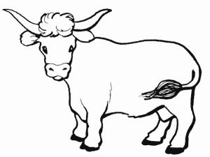 Fichas para colorear dibujos de toros. Manualidades a Raudales.